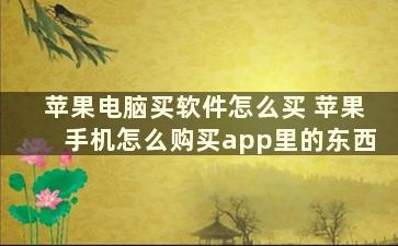 苹果电脑买软件怎么买 苹果手机怎么购买app里的东西